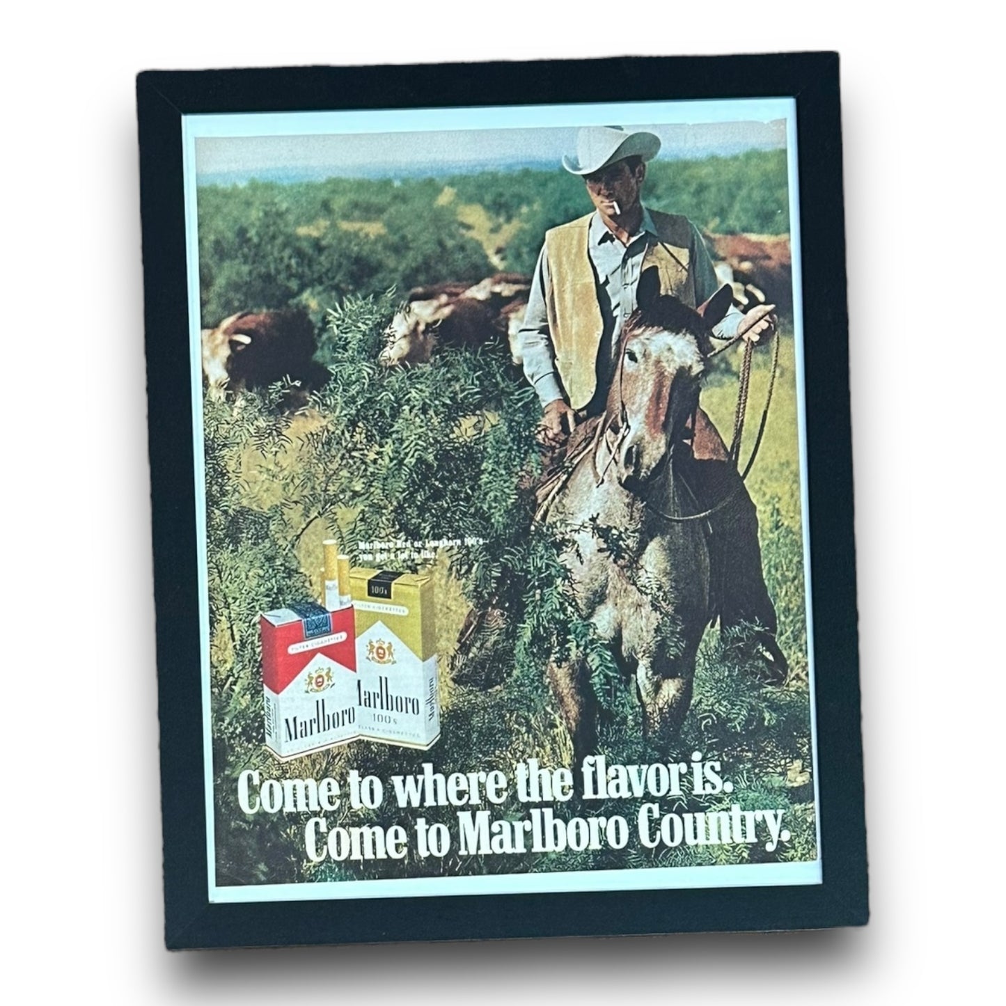 “Marlboro Meadow” Framed Advertisement